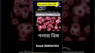 #Diva #secret #intetnational #powerful #product