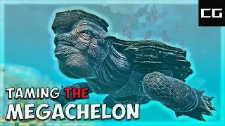 We Tame A Megachelon The Giant Turtle
