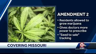Voter&rsquo;s Guide: Missouri To Vote On Three Medical Marijuana Amendments
