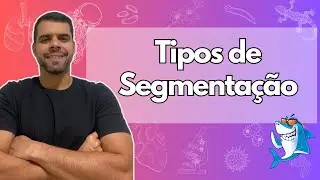 Embriologia - Aula 3 - Tipos de Segmenta&ccedil;&atilde;o