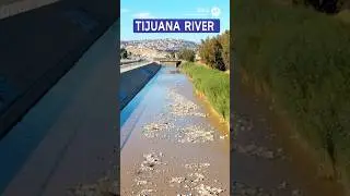 Environmental Stories - Tijuana River #shortsfeed #youtubeshorts #usa #mexico #travel