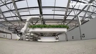 Robot farming helps grow produce using 90% less water and electricity than traditional farms