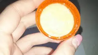 утро со скиши собакой угольком
