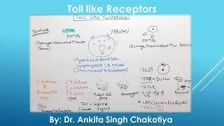 Toll like Receptors and their role in Cellular Immune response