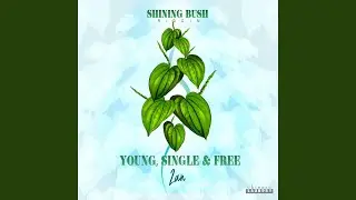Young, Single & Free