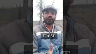 Winter related vocabulary | #zmohammadi #shorts #vocabulary