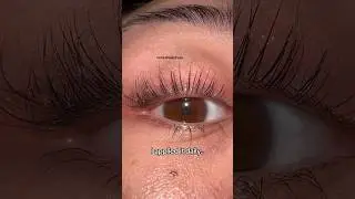 castor oil vs good lash serum! #lashes #lashserum #naturalashesserum #naturabeautyeu #naturabeauty