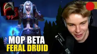 MoP Beta Feral Druid PvP 5.4.8