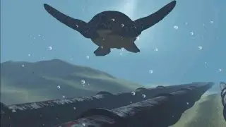 Marine oil pollution