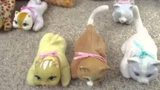 Kitty Surprise Comparison