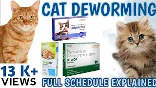 CAT DEWORMING! CAT CARE