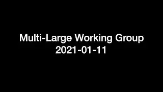 2021-01-11 Multi-Large Working Group