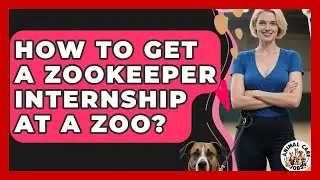 How To Get A Zookeeper Internship At A Zoo? - Animal Care Jobs