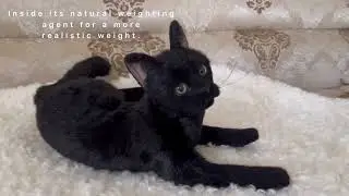 Moon.Realistic black toy cat