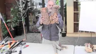 What are Bark Inclusions and what do they look like? feat Don Burnett - The Garden Expert