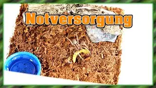 Notversorgung für alle