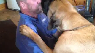 Tilly giving me a big welcome home kiss