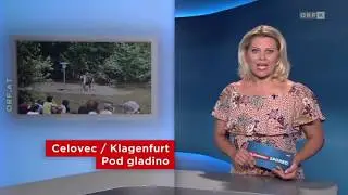 ORF 2 | Dober dan, Koro&scaron;ka | 23 07 2017