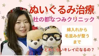 ぬいぐるみ治療！綿入れから毛並みが整うまで！