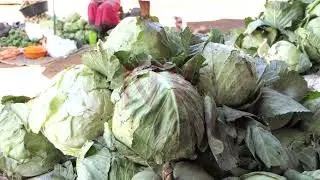 Uganda&rsquo;s Agri-exports soar to $4.4B on value addition boost