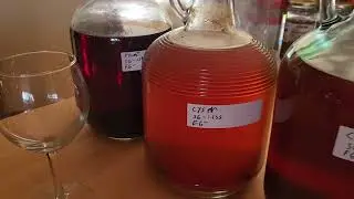 Interesting Homebrew Pyment and Cyser homemade wine and homemade honey mead on the homestead