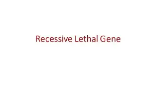 08 Lethal Alleles Multiple Alleles Gene Interactions