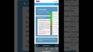 China Tourist Visa in 60 Seconds (L Visa Guide)