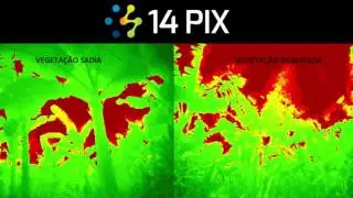 Agricultura 14 Pix