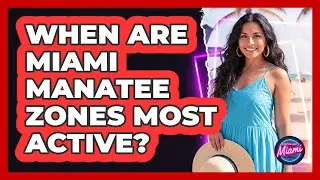 When Are Miami Manatee Zones Most Active?