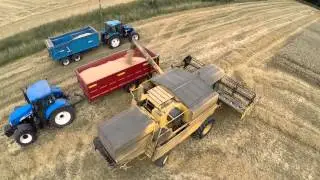 NEW HOLLAND TX36 HARVESTING WHEAT