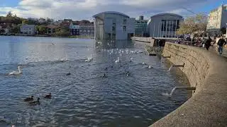 Tj&ouml;rnin in Reykjav&iacute;k