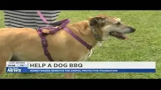 CDJW Help a Dog BBQ For The Animal Protective Foundation 2018 - Albany-Saratoga Speedway