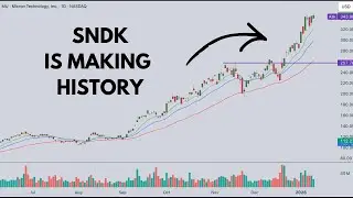Data Storage Stocks Can't Be Stopped! $MU $SNDK $WDC