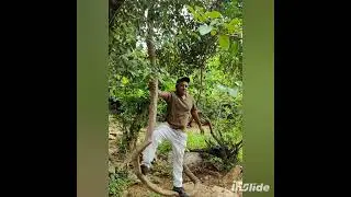 Beautiful forest and hill area of District Sone Bhadra in Uttar Pradesh