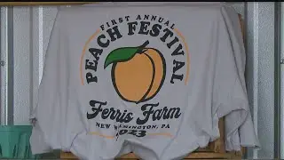 Local farm hosts first Peach Festival