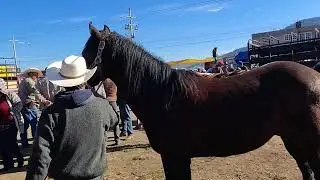 Jaltepec // días sábados 