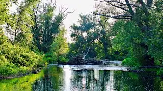 Amherst State Park, Williamsville, New York USA