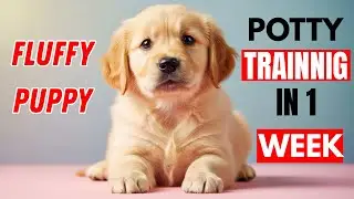 HOW TO: Potty Train Your Puppy FAST!! 🐶 10 Week Old Puppy Trained in 1 WEEK!!!