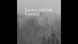 La microbiota forestal, con Ana V. Lasa 5x09