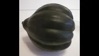 Acorn Squash 101-Select and Store the Best Acorn Squash