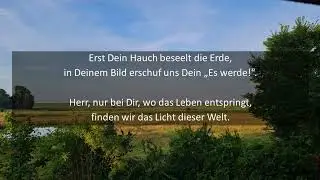 Dir allein die Ehre (Cover)