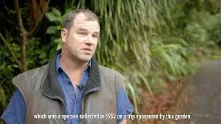 Andrew Brooker's favourite thing about Pukeiti