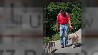 Developing a career in service dog training, San Diego