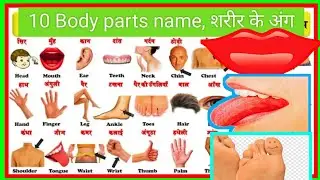 10 human body parts name in Hindi & English with picture| शरीर के अंगों के नाम | Name of Body Parts