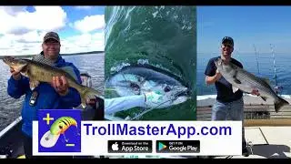 Troll Master App - Overview and features