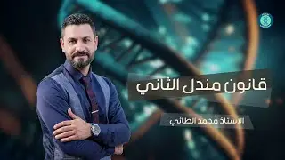 مراجعة الوراثة (2) قانون مندل الثاني | الاستاذ محمد الطائي