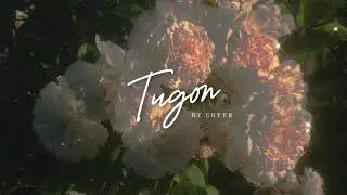 Tugon - Project Romeo (Ry cover)