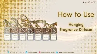How to Use Hanging Travel Fragrance Diffuser