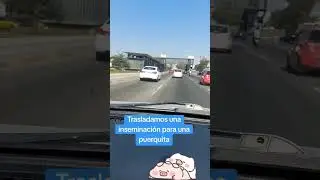 Entrega hecha #abelelviajero #paqueteria #fast #transport #encargos #clientes #driver #safe #gracias