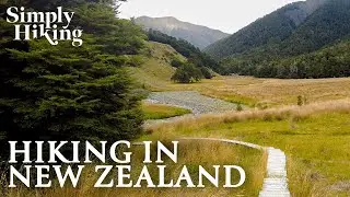 4K Virtual Hike NZ: Scenic Mountain Trails for Relaxation | New Zealand Nature Walk